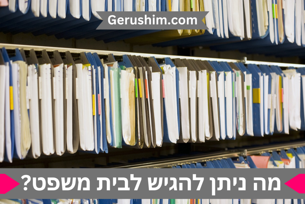 סוגי בקשות שניתן להגיש בבית משפט לענייני משפחה