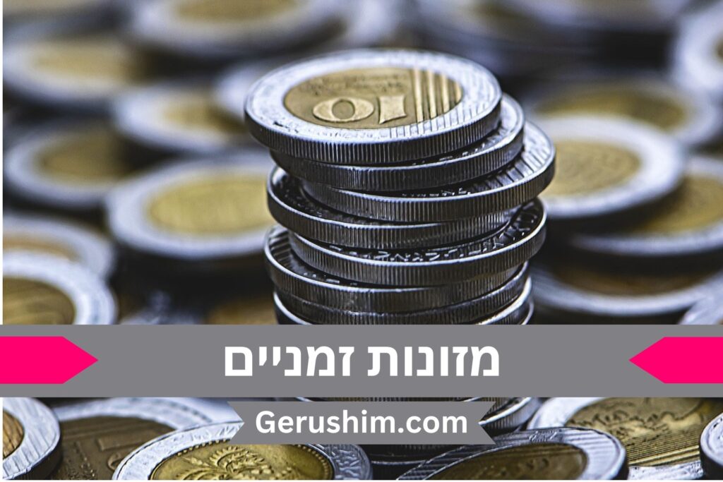 מזונות זמניים