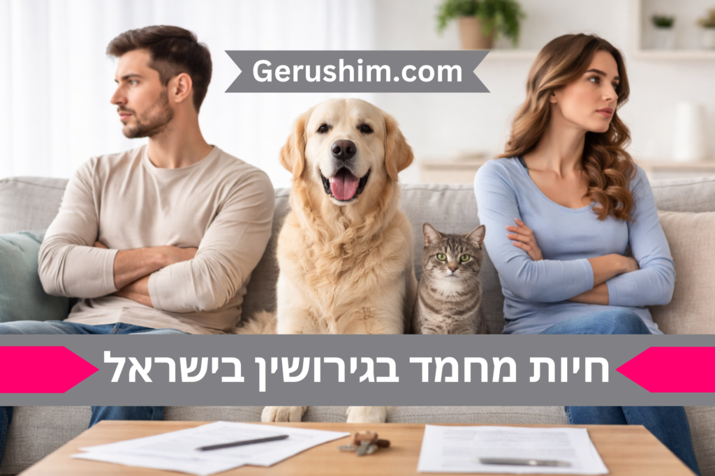 חיות מחמד בגירושין בישראל
