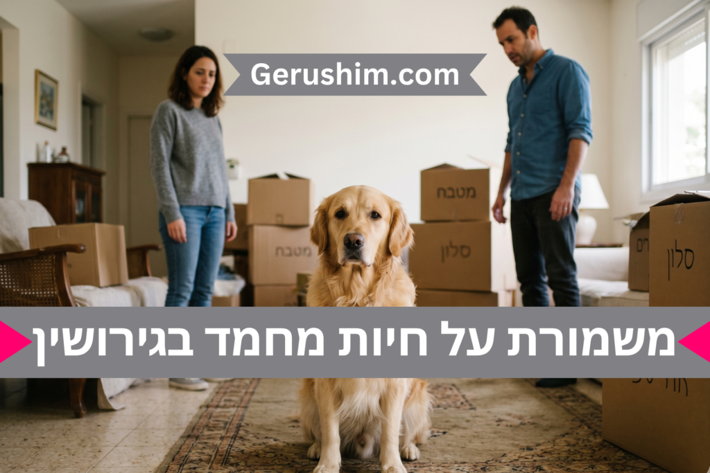 משמורת על חיות מחמד בגירושין